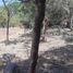  Land for sale in Villa De Alvarez, Colima, Villa De Alvarez, Colima