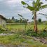  Land for sale in Yogyakarta, Sleman, Sleman, Yogyakarta