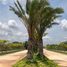  Land for sale in Merida, Yucatan, Merida, Yucatan