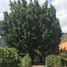 4 Bedroom House for sale in Tepoztlan, Morelos, Tepoztlan