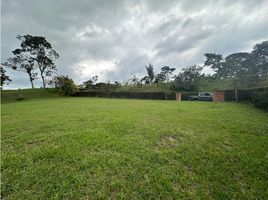  Land for sale in El Carmen De Viboral, Antioquia, El Carmen De Viboral