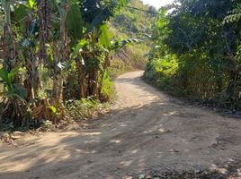  Tanah for sale in Lombok Tengah, West Nusa Tenggara, Praya, Lombok Tengah