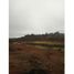  Land for sale in La Piedad, Michoacan, La Piedad