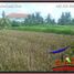  Land for sale in Ubud, Gianyar, Ubud