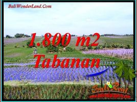  Land for sale in Kerambitan, Tabanan, Kerambitan