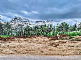  Land for sale in Malang Regency, East Jawa, Kepanjen, Malang Regency