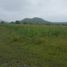  Land for sale in Huimilpan, Queretaro, Huimilpan