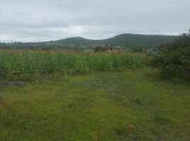  Land for sale in Huimilpan, Queretaro, Huimilpan