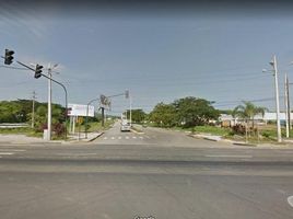  Land for sale in Guayas, Daule, Daule, Guayas