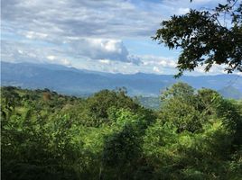  Terrain for sale in Tamesis, Antioquia, Tamesis