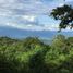  Land for sale in Tamesis, Antioquia, Tamesis