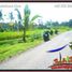 Land for sale in Gianyar Bali, Tegallalang