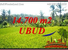  Land for sale in Gianyar Bali, Tegallalang