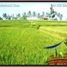  Land for sale in Gianyar Bali, Tegallalang