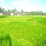  Land for sale in Tegallalang, Gianyar, Tegallalang