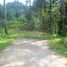  Land for sale in Tegallalang, Gianyar, Tegallalang