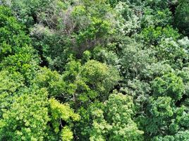  Grundstück zu verkaufen in Othon P Blanco, Quintana Roo, Othon P Blanco