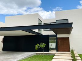 Maison 3 chambre à vendre à Conkal, Yucatan, Conkal
