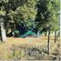  Land for sale in Morelia, Michoacan, Morelia, Michoacan