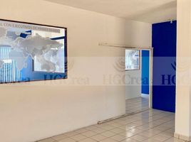 220 m² Office for rent in Monterrey, Nuevo Leon, Monterrey