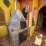 Villa 4 chambre à vendre à Morelia, Michoacan, Morelia