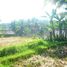  Land for sale in Tegallalang, Gianyar, Tegallalang