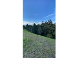  Land for sale in El Carmen De Viboral, Antioquia, El Carmen De Viboral