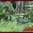  Land for sale in Selemadeg, Tabanan, Selemadeg