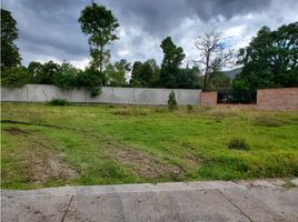  Terreno (Parcela) en venta en Cuenca, Cuenca, Cuenca