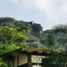 3 Habitación Casa en venta en Tepoztlan, Morelos, Tepoztlan