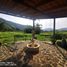 3 Habitación Casa en venta en Tepoztlan, Morelos, Tepoztlan