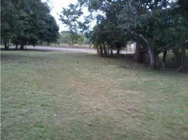  Land for sale in Ocu, Herrera, Ocu, Ocu