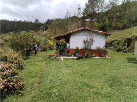  Land for sale in Penol, Antioquia, Penol