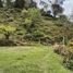  Land for sale in Penol, Antioquia, Penol