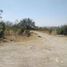 Terrain à vendre à Zapopan, Jalisco, Zapopan, Jalisco