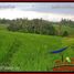  Land for sale in Selemadeg, Tabanan, Selemadeg