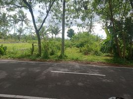  Land for sale in Yogyakarta, Sleman, Sleman, Yogyakarta