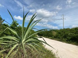  Grundstück zu verkaufen in Celestun, Yucatan, Celestun