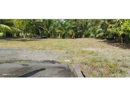  Land for sale in Baru, Chiriqui, Puerto Armuelles, Baru