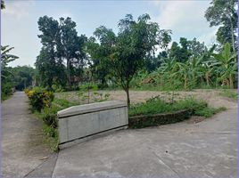  Land for sale in Prambanan, Klaten, Prambanan