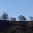  Land for sale in Del Centro, Oaxaca, Del Centro