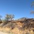  Land for sale in Del Centro, Oaxaca, Del Centro