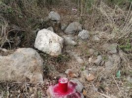  Grundstück zu verkaufen in Yaxkukul, Yucatan, Yaxkukul