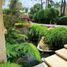 3 Bedroom House for sale in Huitzilac, Morelos, Huitzilac