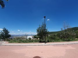  Terreno (Parcela) en venta en Huimilpan, Querétaro, Huimilpan
