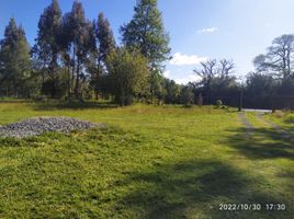 4 Bedroom House for sale in Mariquina, Valdivia, Mariquina