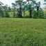  Land for sale in Bandung, West Jawa, Padalarang, Bandung