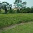  Land for sale in Padalarang, Bandung, Padalarang