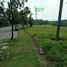  Land for sale in Bandung, West Jawa, Padalarang, Bandung