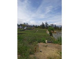  Land for sale in Huachi Grande, Ambato, Huachi Grande